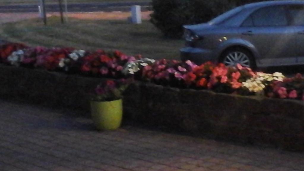 Arconaty Hotel Linter Zewnętrze zdjęcie